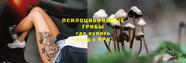 2c-b Алексин
