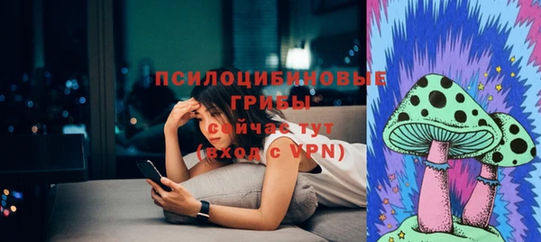 не бодяженный Алзамай