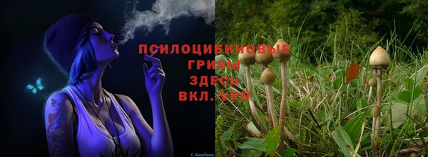 не бодяженный Алзамай