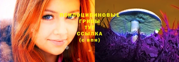 не бодяженный Алзамай