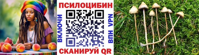 Галлюциногенные грибы Cubensis  Димитровград 