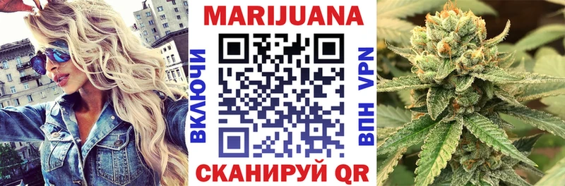 МЕГА   Димитровград  Бошки марихуана гибрид 